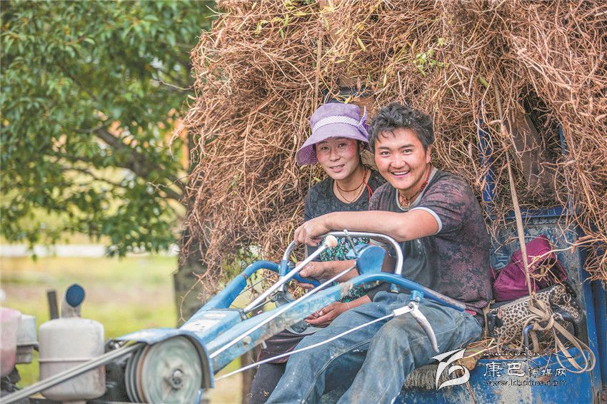 豐收的喜悅(康巴傳媒網(wǎng)首屆紀實(shí)攝影大賽)