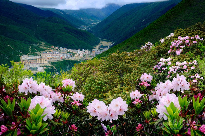 康定情歌風(fēng)景區春光惹人醉