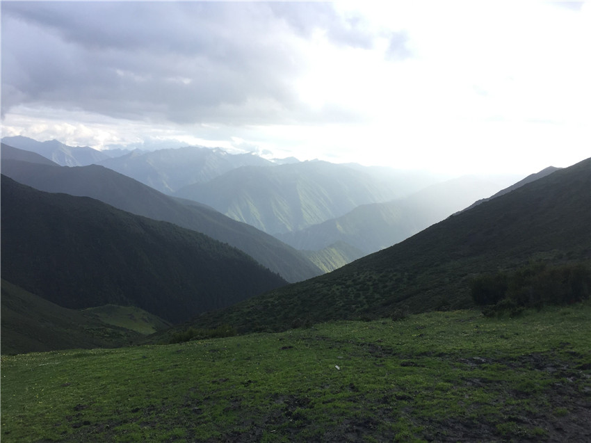 牧場(chǎng)遠眺。.jpg