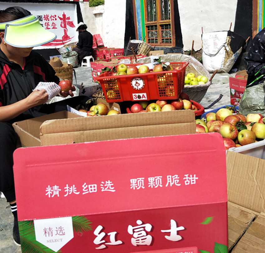 果農正在.jpg