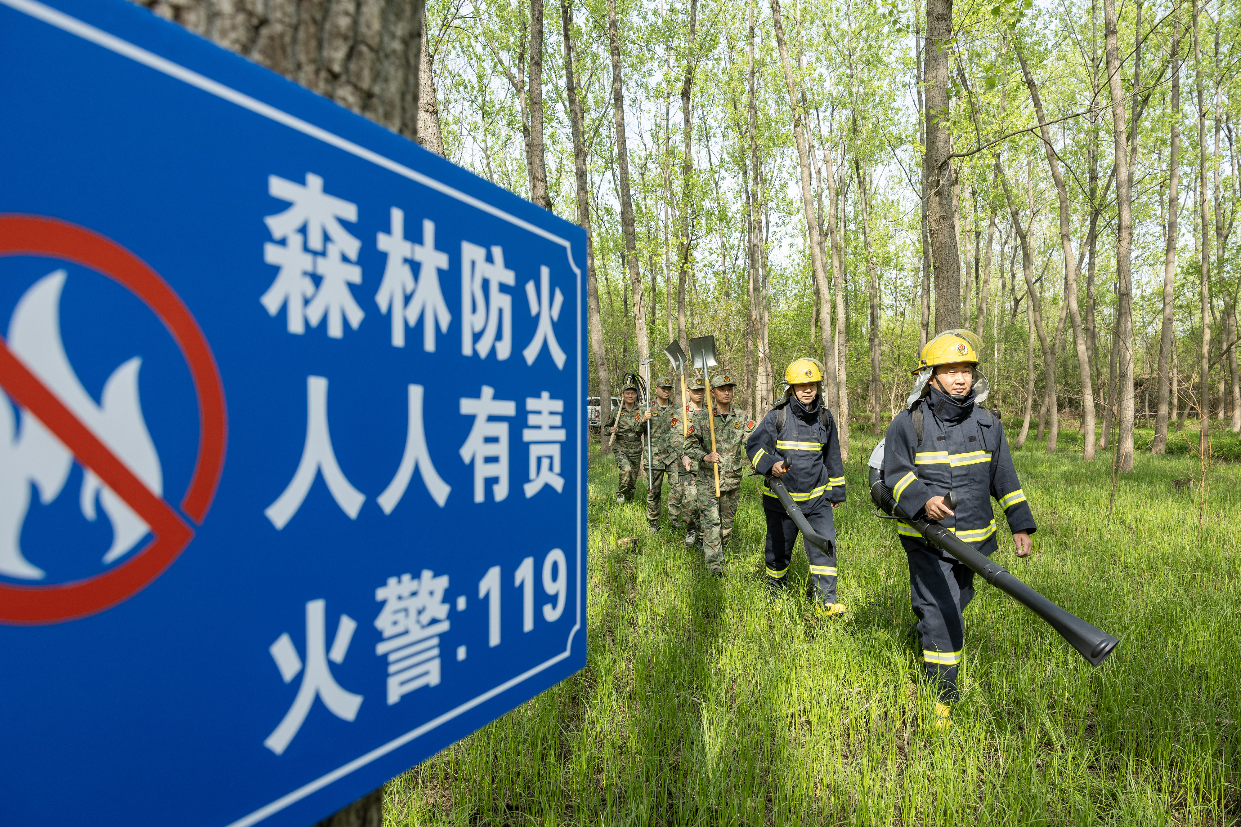 2024年4月9日，合肥市大房郢水庫水源保護地廬陽(yáng)經(jīng)濟開(kāi)發(fā)區段，基干民兵正在林間巡查火災隱患。