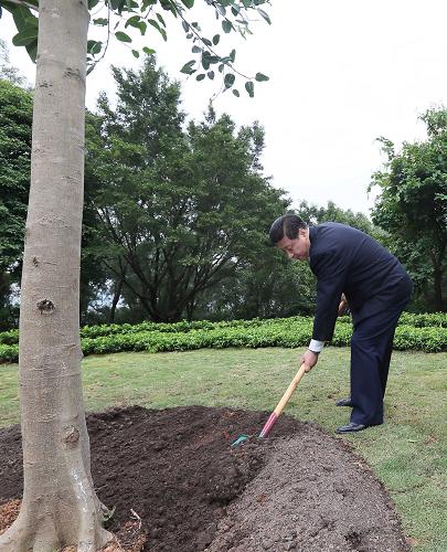 2012年12月7日至11日，習近平在廣東省考察工作。這是8日上午，習近平在深圳蓮花山公園種下一棵高山榕樹(shù)。新華社記者 蘭紅光 攝