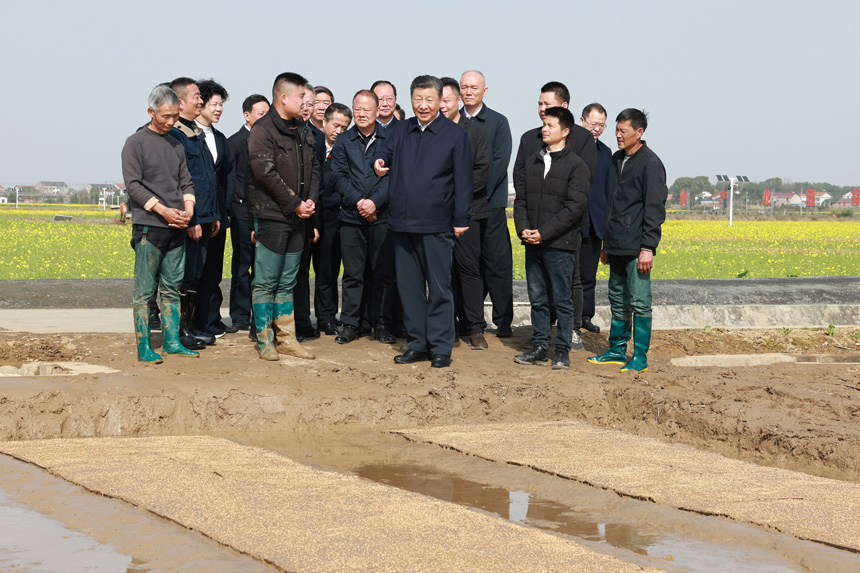 2024年3月18日至21日，中共中央總書(shū)記、國家主席、中央軍委主席習近平在湖南考察。這是19日下午，習近平在常德市鼎城區謝家鋪鎮港中坪村走進(jìn)田間，察看秧苗培育和春耕備耕進(jìn)展。新華社記者 王曄 攝